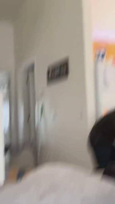 Cat gets instant karma