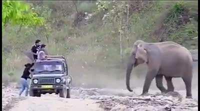 Just another harmless prank.