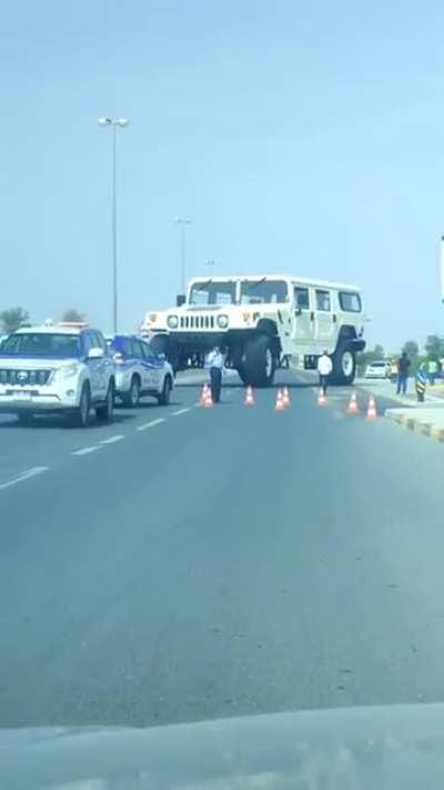 This hummer. Confirmed that it was actually real and not CGI