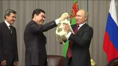 Putin is a hero for this little dog