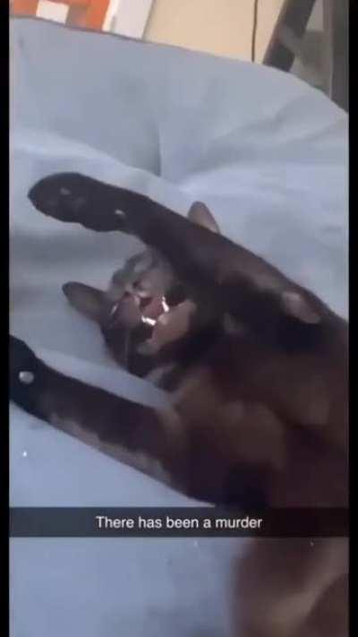 Not everyone gets along with others