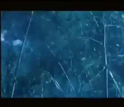 Why does this exist?