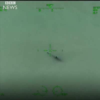 You're next to 15 Great White sharks