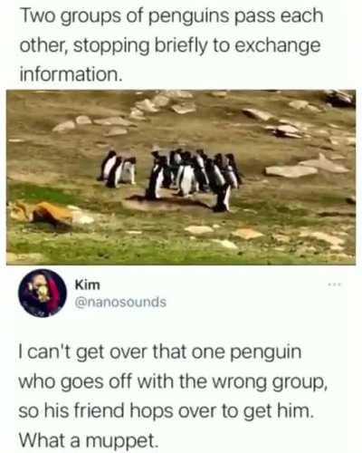 I love this post but..