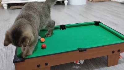 С треском в лузу входит шар - это Мастерский удар !