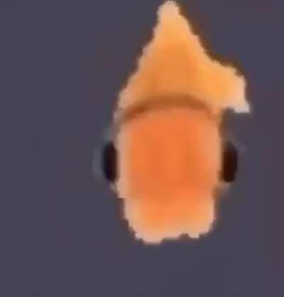 rog when he saw he was locked out of the website