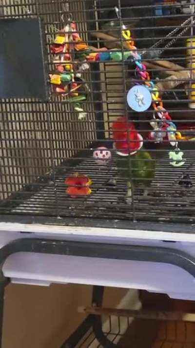 He always stops and stares as soon as he sees the camera.