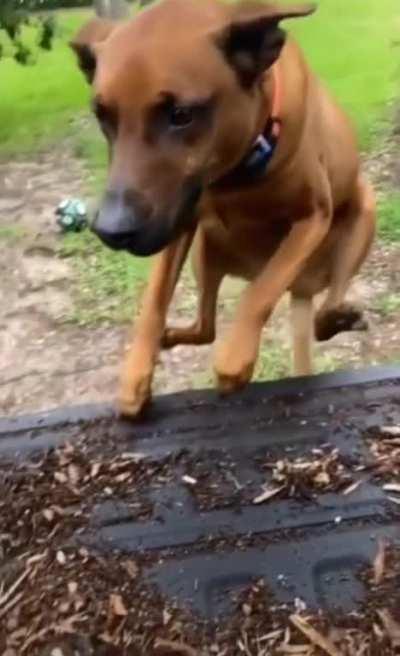 That face says it all