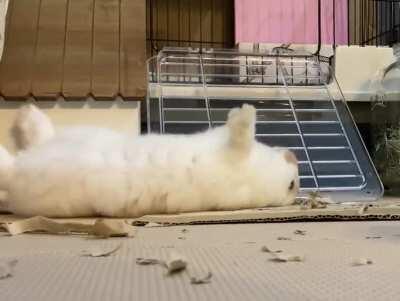 Sometimes when you flop too hard the first time, you need to reset and try again