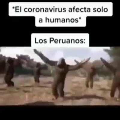 🇵🇪🇵🇪🇵🇪🇵🇪🇵🇪🇵🇪🇵🇪🇵🇪🇵🇪 👨🏿👨🏿👨🏿👨🏿👨🏿👨🏿👨🏿👨🏿👨🏿👨🏿👨🏿👨🏿👨🏿👨🏿👨🏿👨🏿👨🏿👨🏿👨🏿👨🏿👨🏿👨🏿👨🏿👨🏿👨🏿👨🏿👨🏿👨🏿👨🏿👨🏿👨🏿👨🏿👨🏿👨🏿👨🏿👨🏿👨🏿👨🏿👨🏿👨🏿👨🏿👨🏿