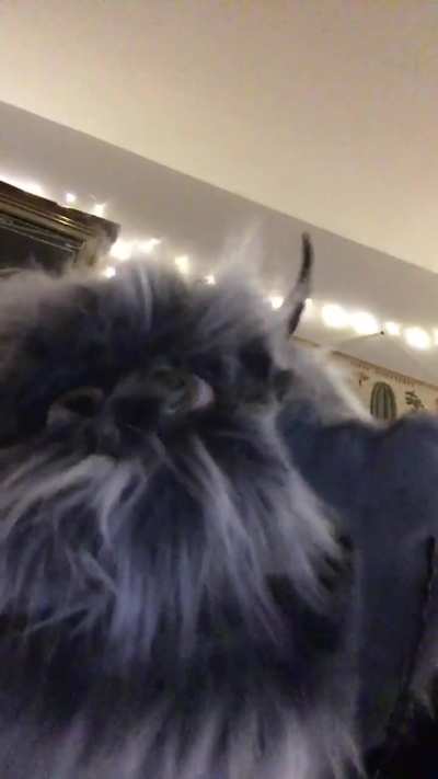 A couple years ago, i experimented with making puppets. I keep thinking I should pick it back up.