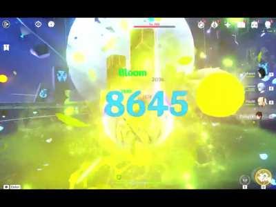 Tighnari & Ayato Comp via VictorGI