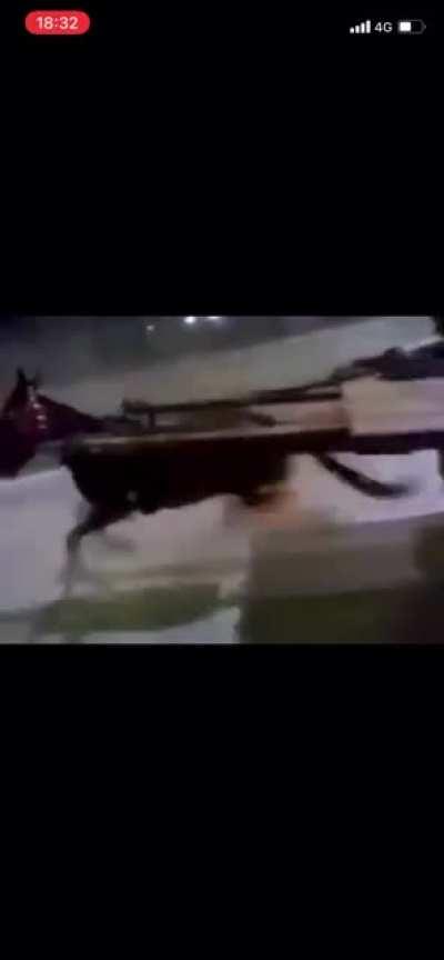 When she’s home alone