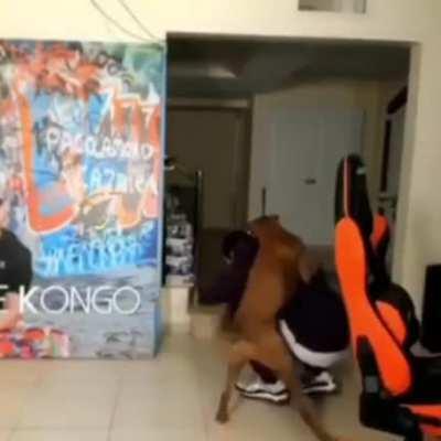 tuve good ending apareci AAAA-