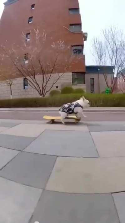 Skaterboi