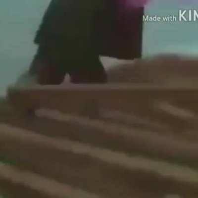 forgotten moldy battle