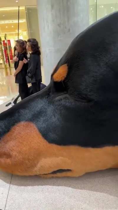 Damnthatsinteresting