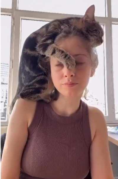 Put your thinking cat on