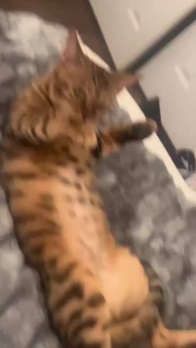 That glare says ‘you’re next.