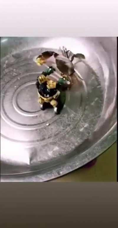 Ni el puto Bumblebee puede contra Erny