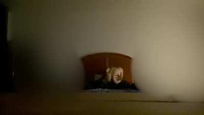 When the husband is away, the wife will play…