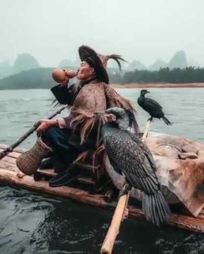 А какой у вас домашний питомец?