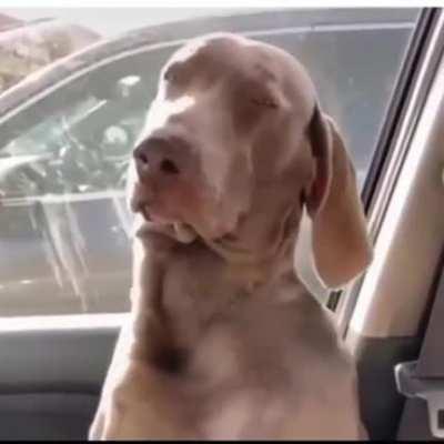 Buford always dozing off in important meetings