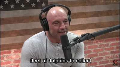 Ben Shapiro and Rogan discuss Plastic Waste Problem