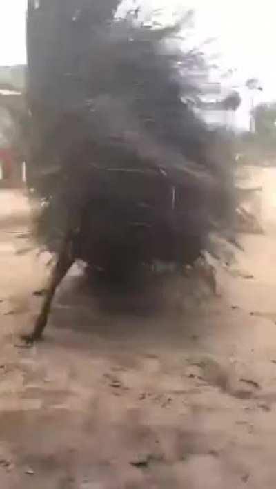 I can’t see anyone inside, it’s a spirit