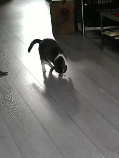 Spidey senses are tingling