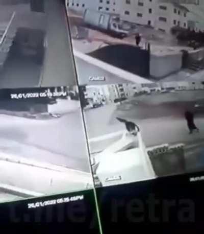 Удачного полёта, псина!