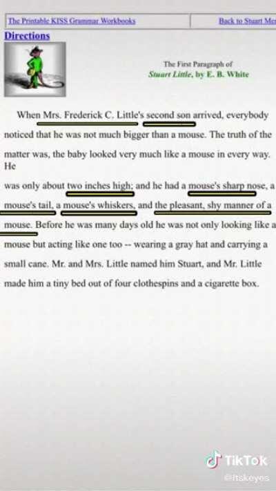 Stuart Little: Exposed