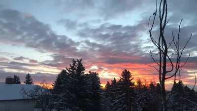 This is one of the reasons I still love Calgary, as bruised as she is right now. Mornings like today -