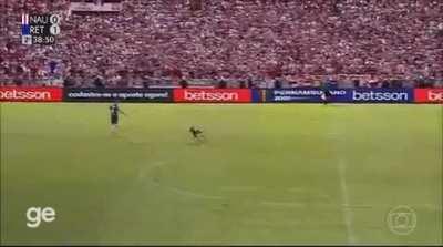 Police dog invades soccer field in Brazil
