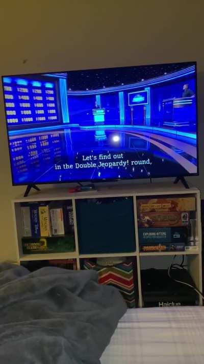 Bojack in Celebrity Jeopardy