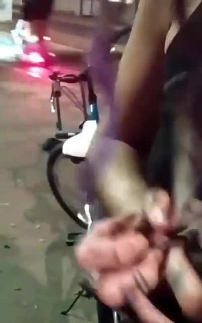 Woman reunites a baby bat that fell on the street with his mother