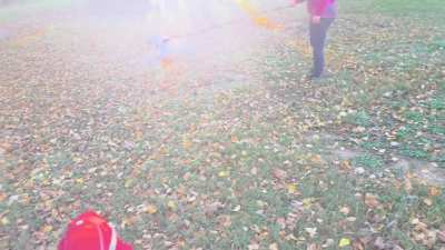 Iris (husky mix turning 16 y/o on 10/21/2025) enjoying her morning zoomies in 40 degree weather