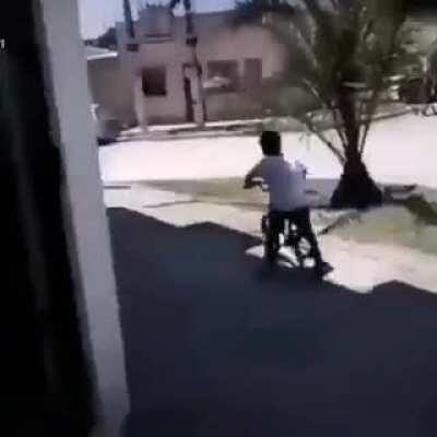 Bruno osoria, alias el cumbia ninja, oh