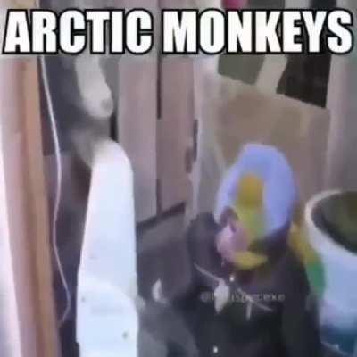 Snow monkeys 🙊☃️