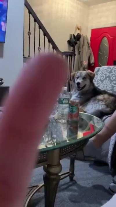 Don't do that to me hooman