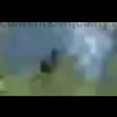 ShitpostBR - Video #6129