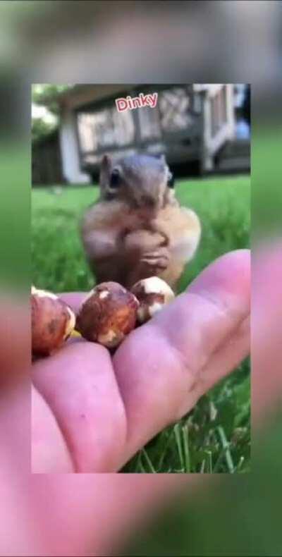 Gotta take a few more for the road!