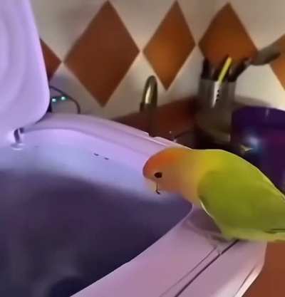 Intrusive thoughts for the win