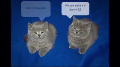 Reminds me of finding someone who has instant homie vibes online