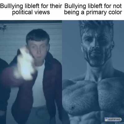 Authright bullying minorities