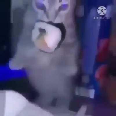 Ayuda soy nueva y no se como usar reddit jajalol