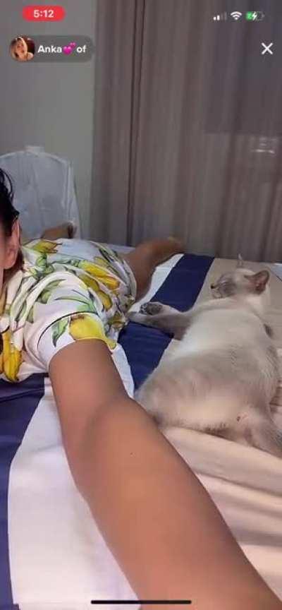 Last night live on TikTok