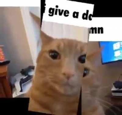 Me when someone is upset