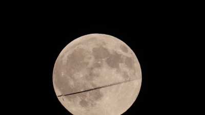 A plane flew across the face of the harvest moon this evening as I was setting up to take a photo