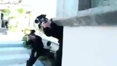 Better than Boruto tbh